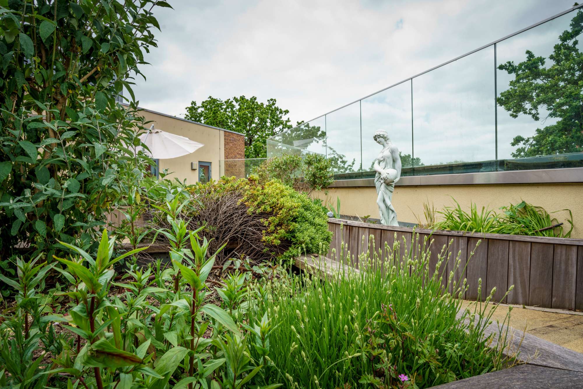 Kun Mor and George Kiss Home Outdoor Terrace An outdoor terrace full of plants and a small statue